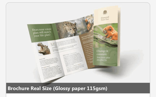 Brochure Real Size (Glossy 115gsm) Size -A3 Trifold,1000pcs