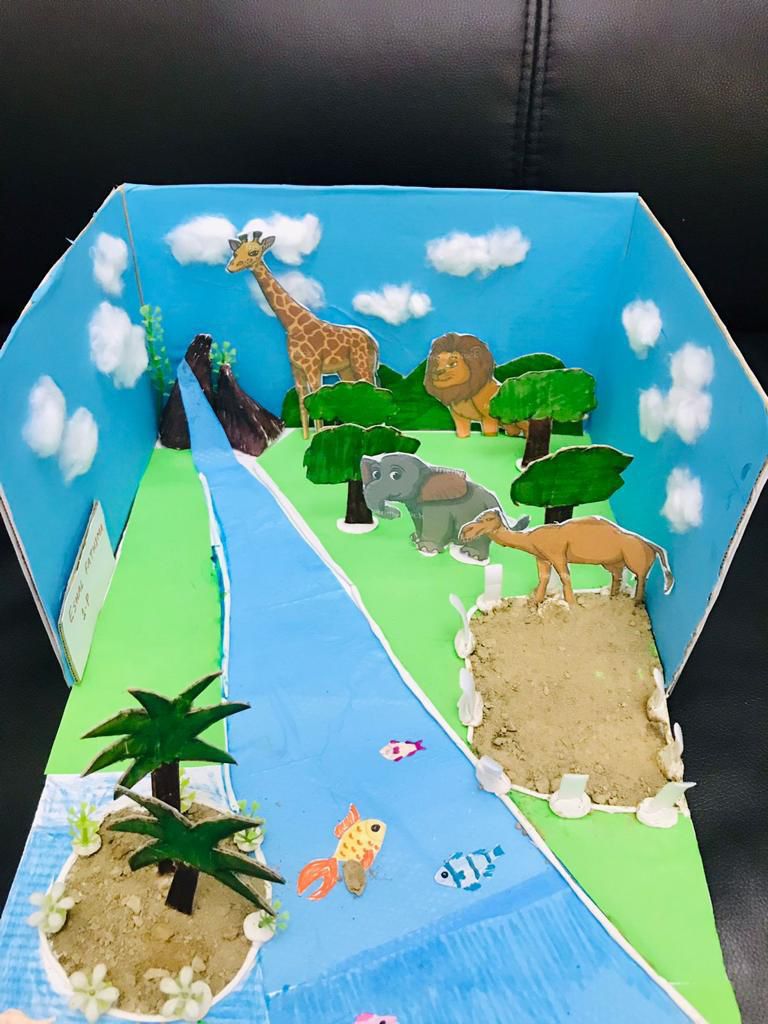 School Projects – forest for Kids