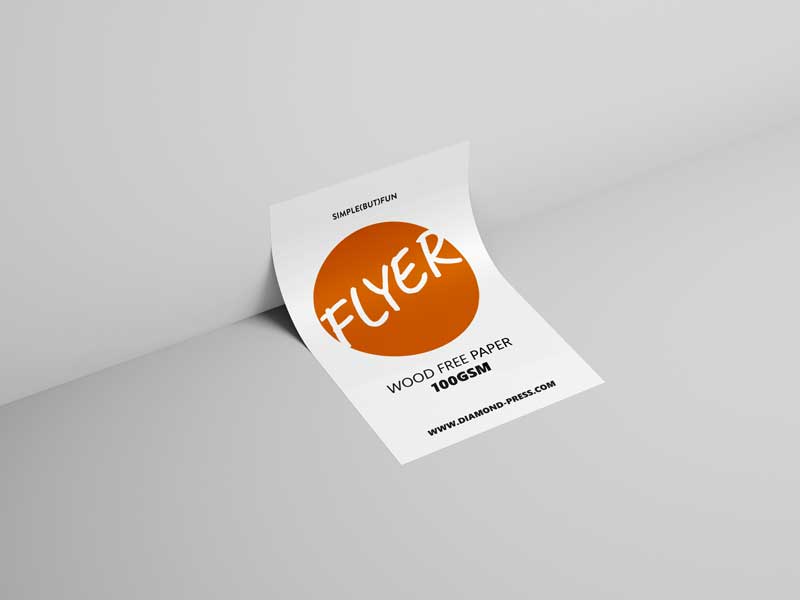 Flyer Economy (Wood Free paper 100gsm) (2000PCS)
