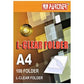 PARTNER 100‑Piece A4 L‑Shape Folder Box (Clear)