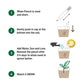 Plant A Pencil Kit ( “Your Brand • Your Print • Your Style.” ) All printing available