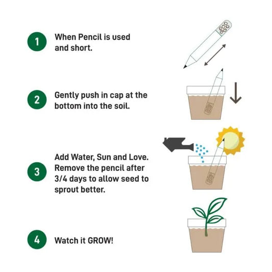 Plant A Pencil Kit ( “Your Brand • Your Print • Your Style.” ) All printing available