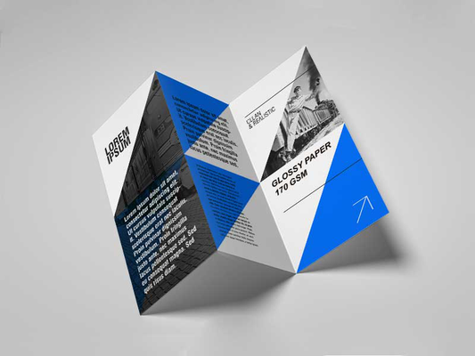Brochure (Multi page) (Glossy paper 115gsm) (1000PCS)