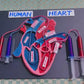 School Projects – Human Heart